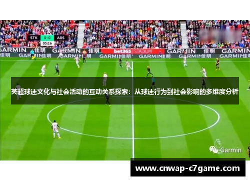 英超球迷文化与社会活动的互动关系探索：从球迷行为到社会影响的多维度分析