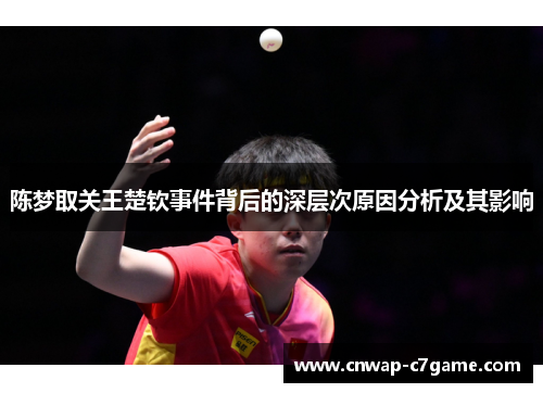 陈梦取关王楚钦事件背后的深层次原因分析及其影响